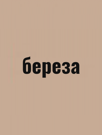 Герметик силиконизированный для дерева VGT 0.16кг Берёза