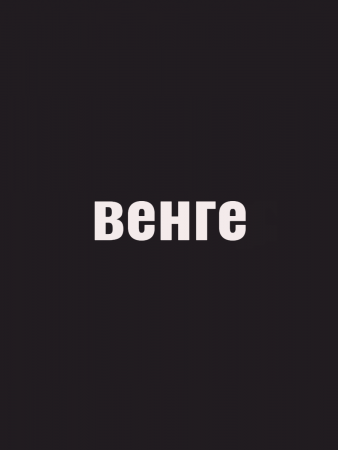 Герметик силиконизированный для дерева VGT 0.16кг Венге