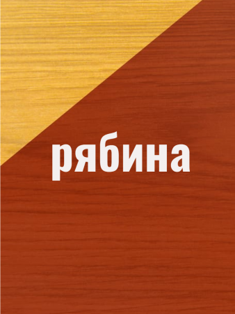 Влагостойкая защитная лазурь для древесины Pinotex Ultra/Пинотекс Ультра 1л Рябина